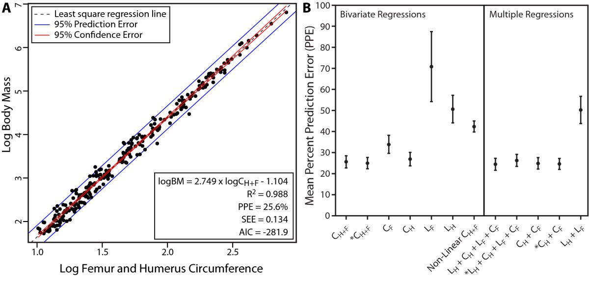 Raw OLS regression for body mass estimation and percent prediction error of body mass proxies