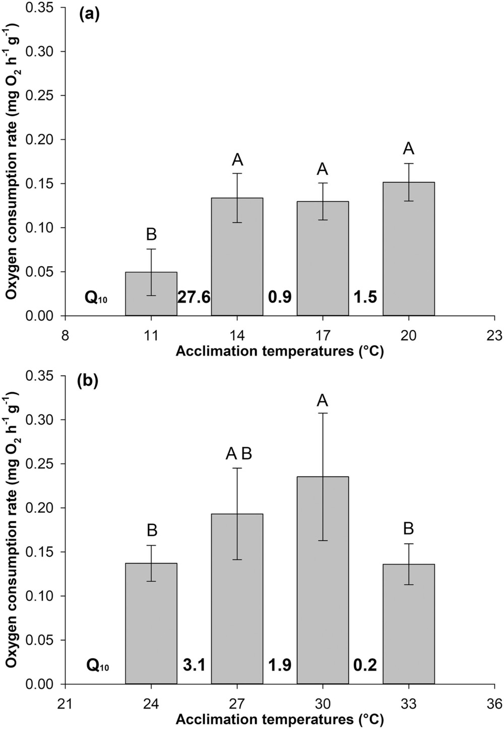 Barplots depicting oxygen consumption rates of adult tubeworms of two Spirobranchus species.
