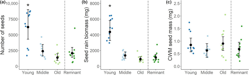 The number of seeds, (b) seed rain biomass (mg) and (c) CWM seed mass (mg) captured per transect in the remnant prairie in 2019 (dark green), young (2-year-old, dark blue), middle-aged (5-6-year-old, light blue) and old (15-year-old, light green) reconstructed prairies. Error bars represent 95% confidence intervals around model estimates (black). Asterisks indicate sites with significant differences from the remnant prairie (p < 0.05).