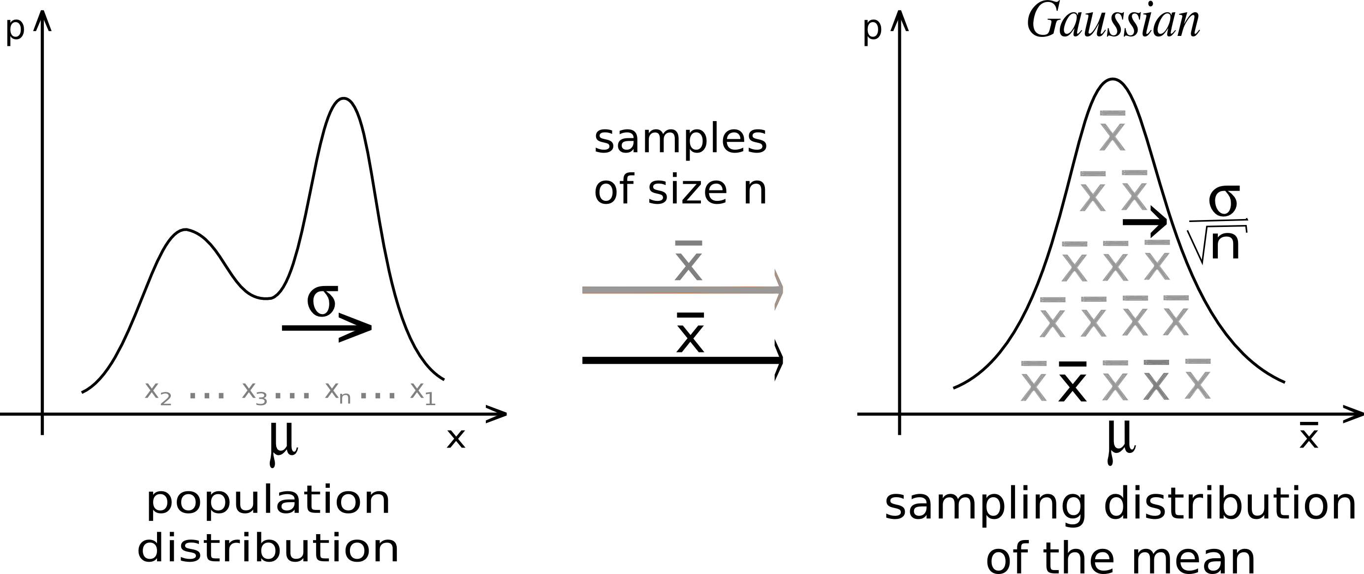 Whatever the form of the population distribution, the sampling distribution tends to a Gaussian, and its dispersion is given by the Central Limit Theorem.