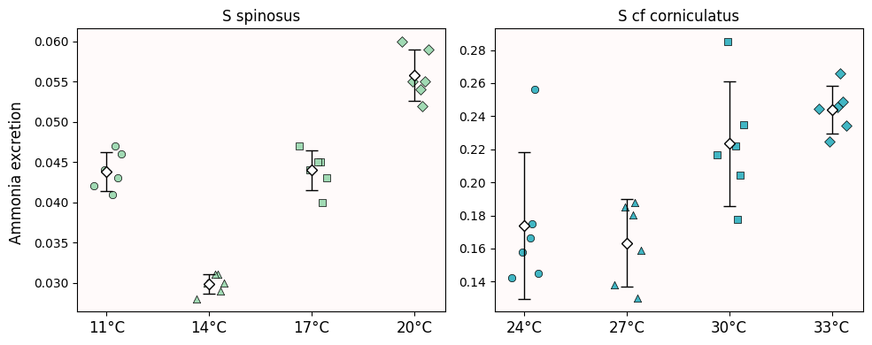 <Figure size 1000x400 with 2 Axes>
