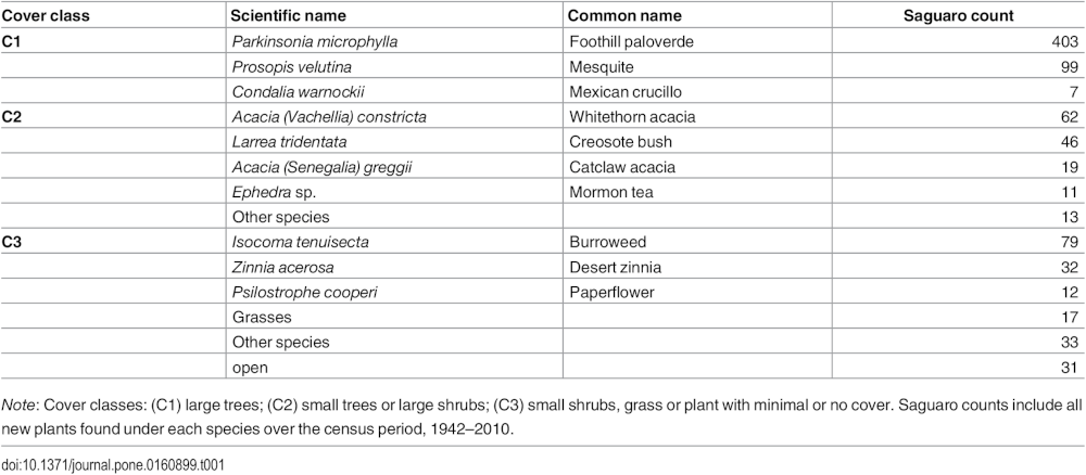Table with species of cover plants for saguaros in the census plots grouped into three classes.