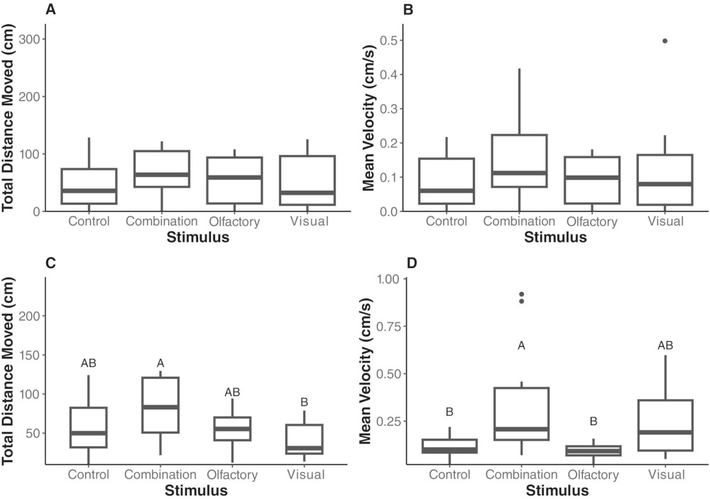 Distributions of distance moved and mean instantaneous velocity of R. dominica (A–B) and S. oryzae (C–D) exposed to headspace extracts of crickets and cricket visual cues.