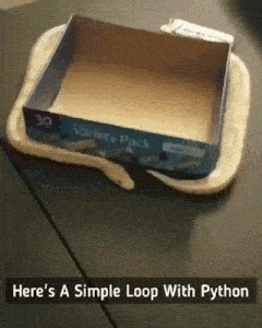 An animated image showing a python snake wrapping itself around a box