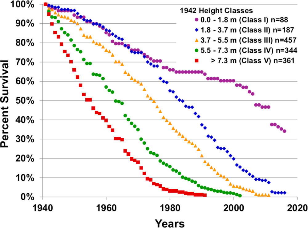 Survival curves from 1942 to 2016 for saguaros in height classes I through V in 1942.