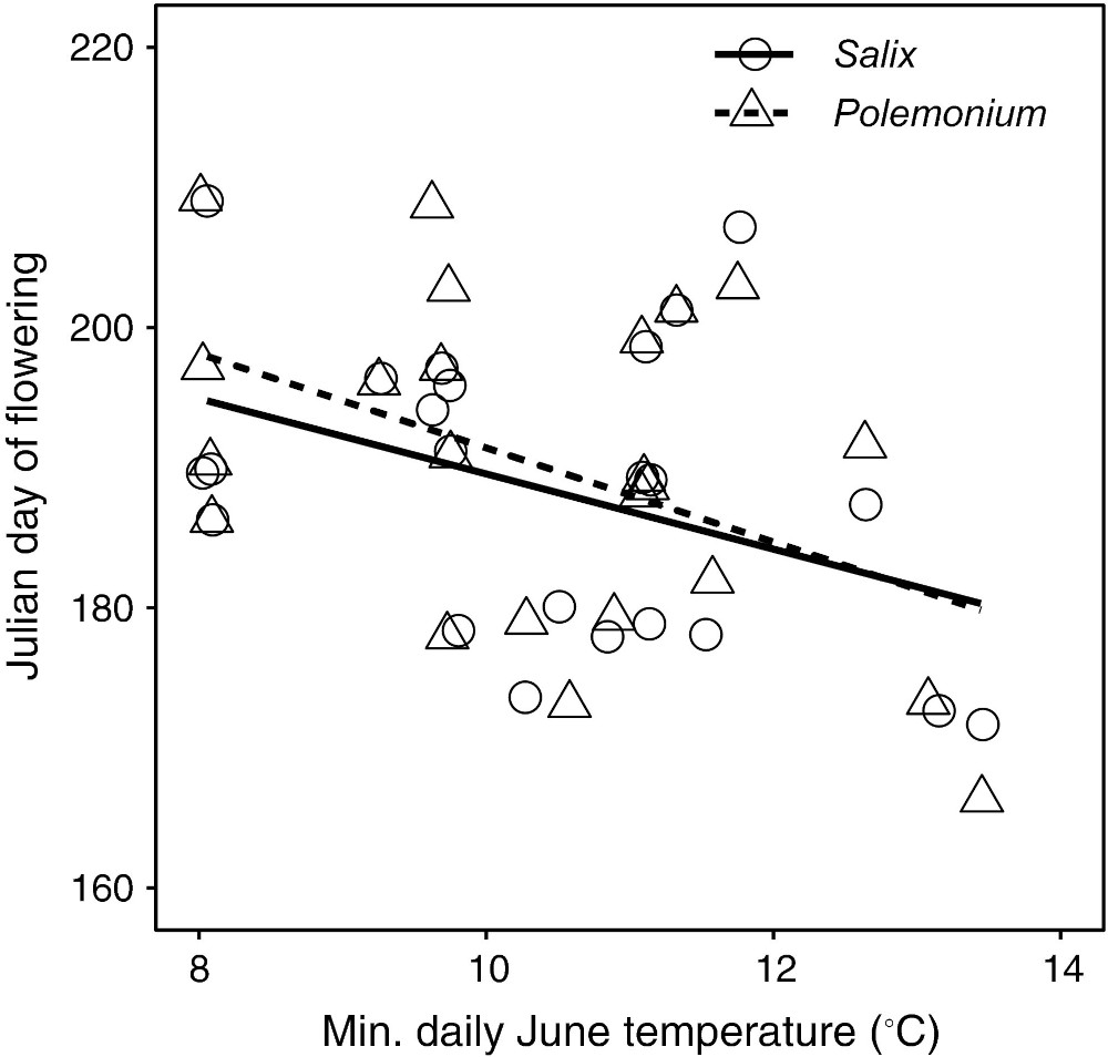 Julian day of collection for flowering Polemonium and Salix as a function of average daily low temperature in June of the collection year.