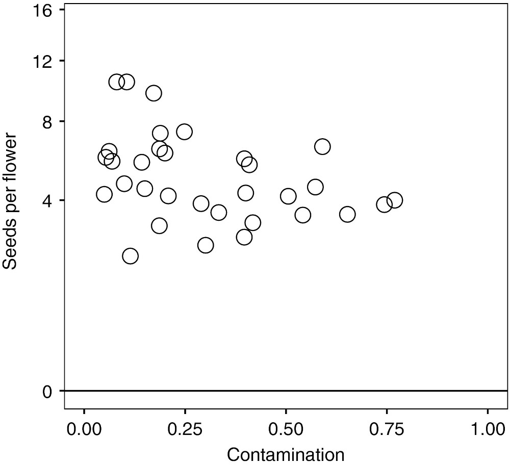 Relationship between contamination of Polemonium stigma pollen loads with Salix pollen and seeds per flower averaged for the plant.