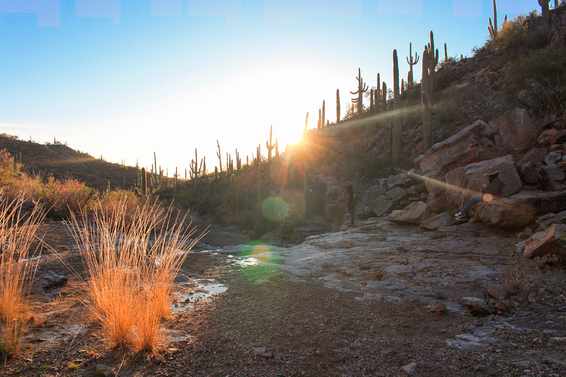 People in wash with setting sun, saguaros, and lens flare